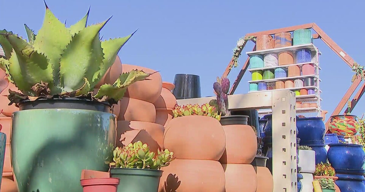 Colorado pottery business owner faces jail over dispute with Adams County