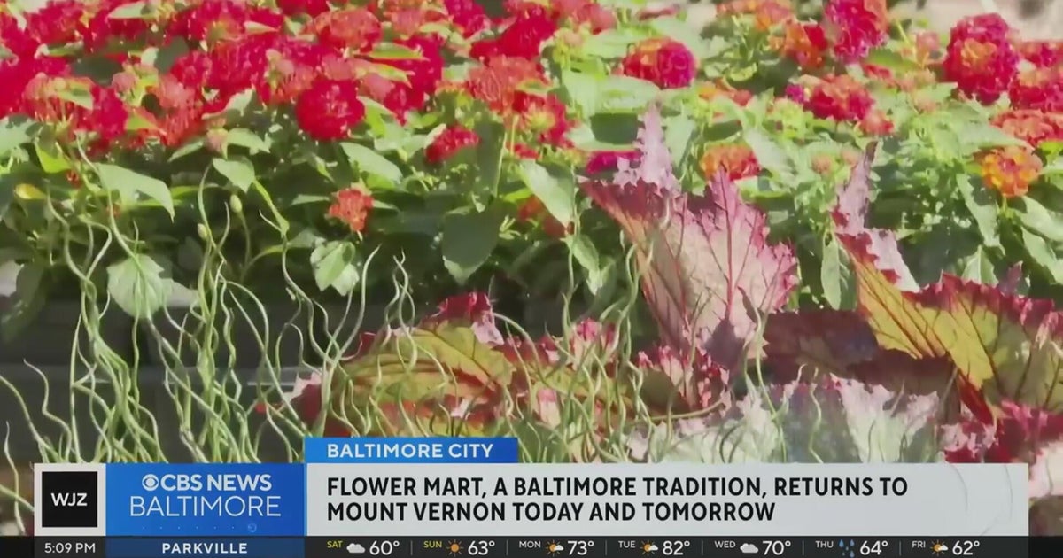 Century-old tradition is back as Baltimore's Flower Mart returns with more vendors