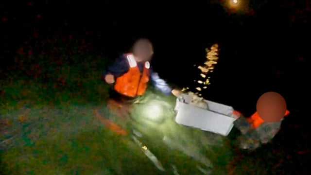 essex-rescue-2.jpg 