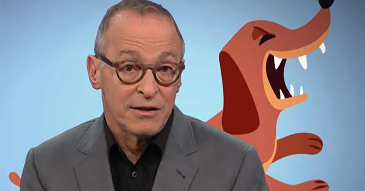 David Sedaris on dogs and the people who obsess over them