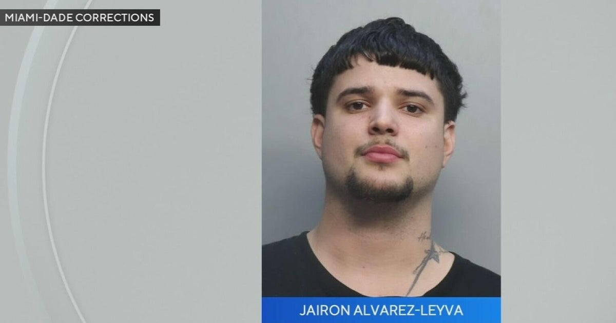 Owner arrested after dog attack that left woman severely injured in the hospital