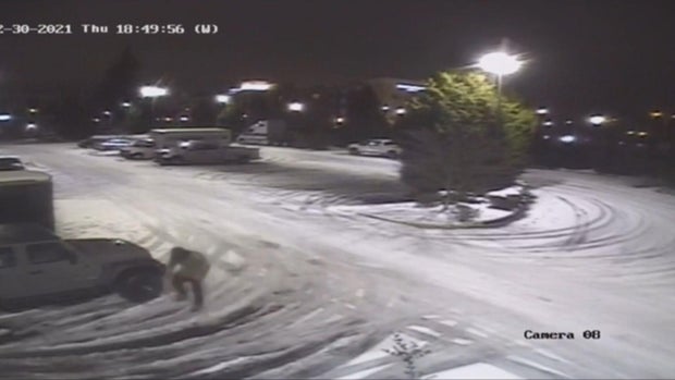 choi-rickman-tire-slash.jpg 