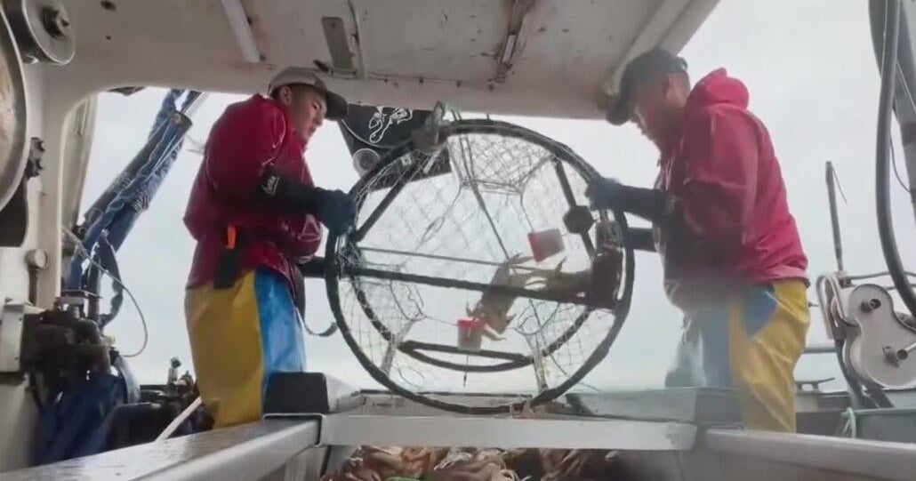 San Francisco tech billionaire leads charge to bring back local crab for Thanksgiving