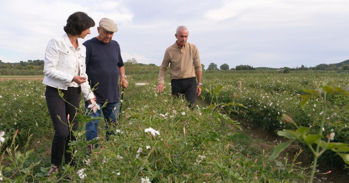 Inside Grasse, where flowers for Chanel No. 5 have been grown for more than a century