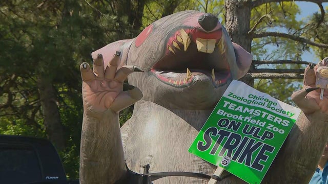 brookfield-zoo.jpg 