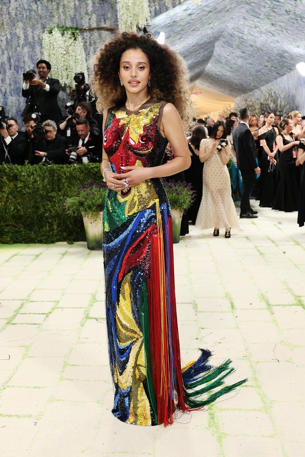 The 2026 Met Gala Celebrating 