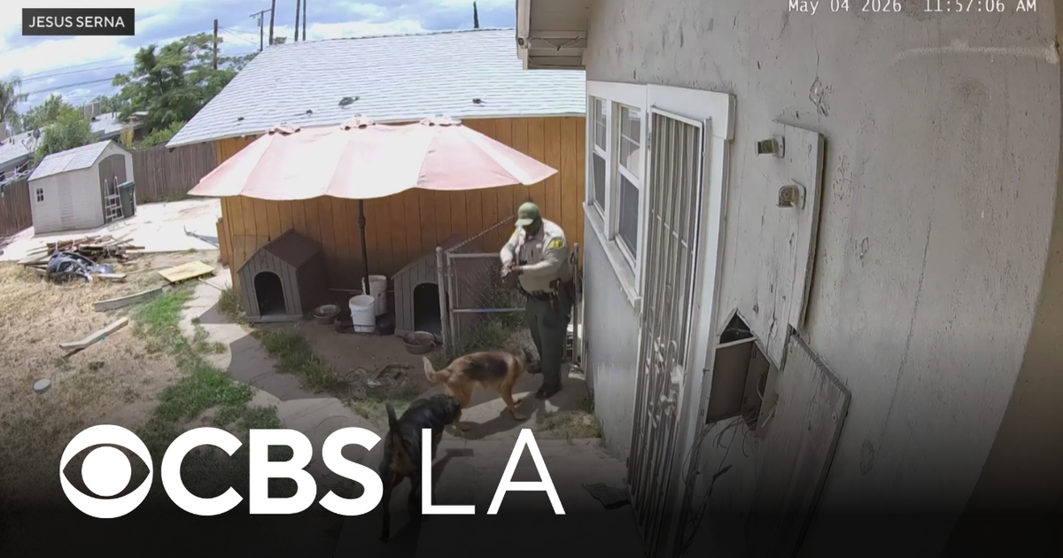 San Bernardino County deputy fatally shoots dog while responding to ...