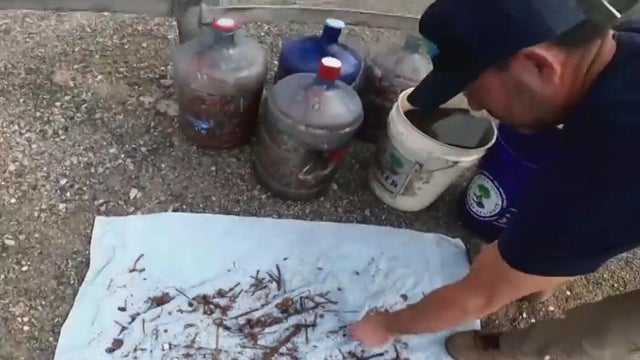 a man inspects trash collected from a gravel road 