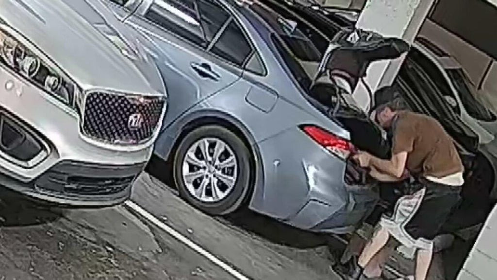 South Miami police ask public for help in locating serial burglar