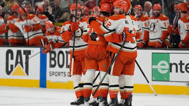 Ducks Golden Knights Hockey 