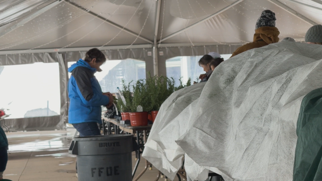 plant-sale-4pkg-transfer-frame-147.png 