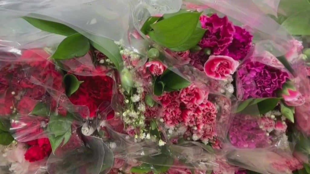 Most of the nation's Mother's Day flowers get inspected at Miami International Airport