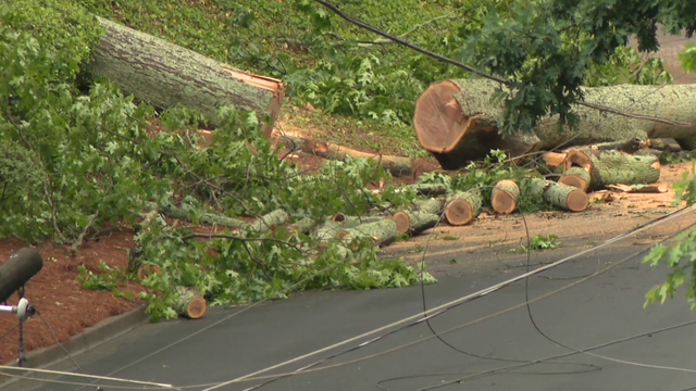 storm-damage-1.png 