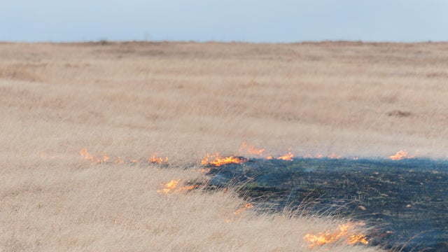 Prairie Grass Fire 