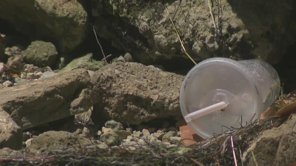Brickell residents express frustration over people dumping trash into Biscayne Bay: "There are no consequences"