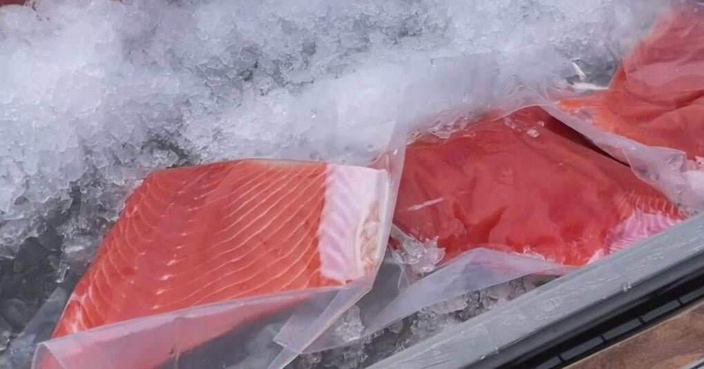 Commercial salmon fishing resumes in California, but uncertainty remains for industry
