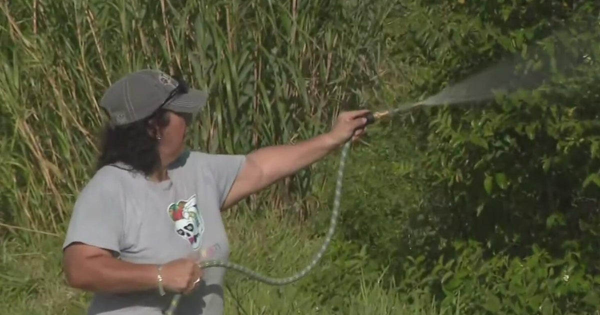 Firefighters battle massive Everglades wildfires near homes in South Florida