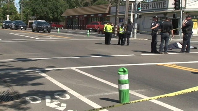 Santa Rosa fatal hit-and-run 