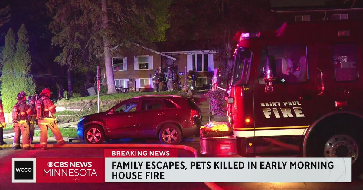 Family pets killed in St. Paul house fire - CBS Minnesota