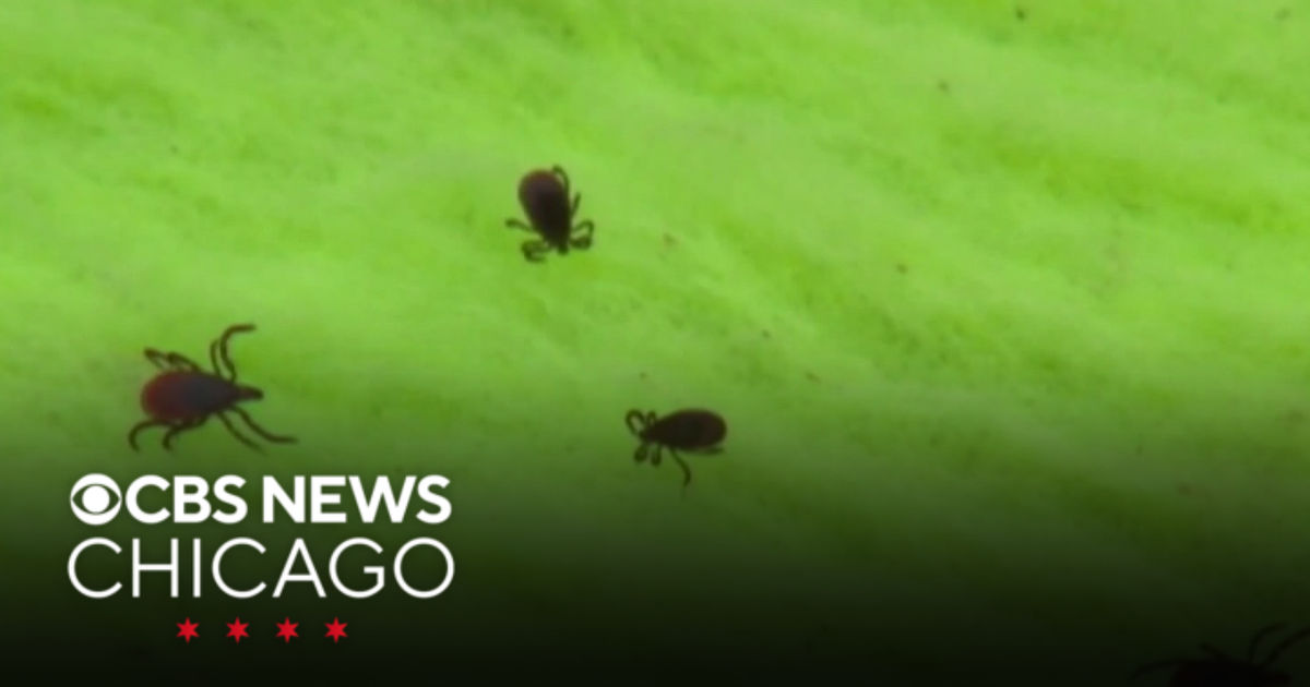 Doctors give tips on how to stay safe from ticks | Health Watch