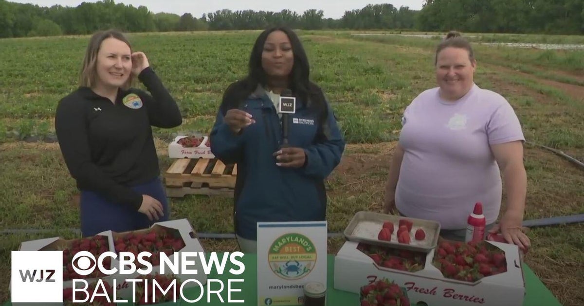Around Town: Lohr’s Orchard in Maryland prepares for Strawberry season