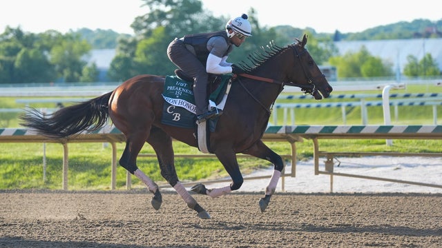 Iron Honor trains for the Preakness Stakes during morning workouts at Laurel Park, May 13, 2026, in Laurel, Maryland. 