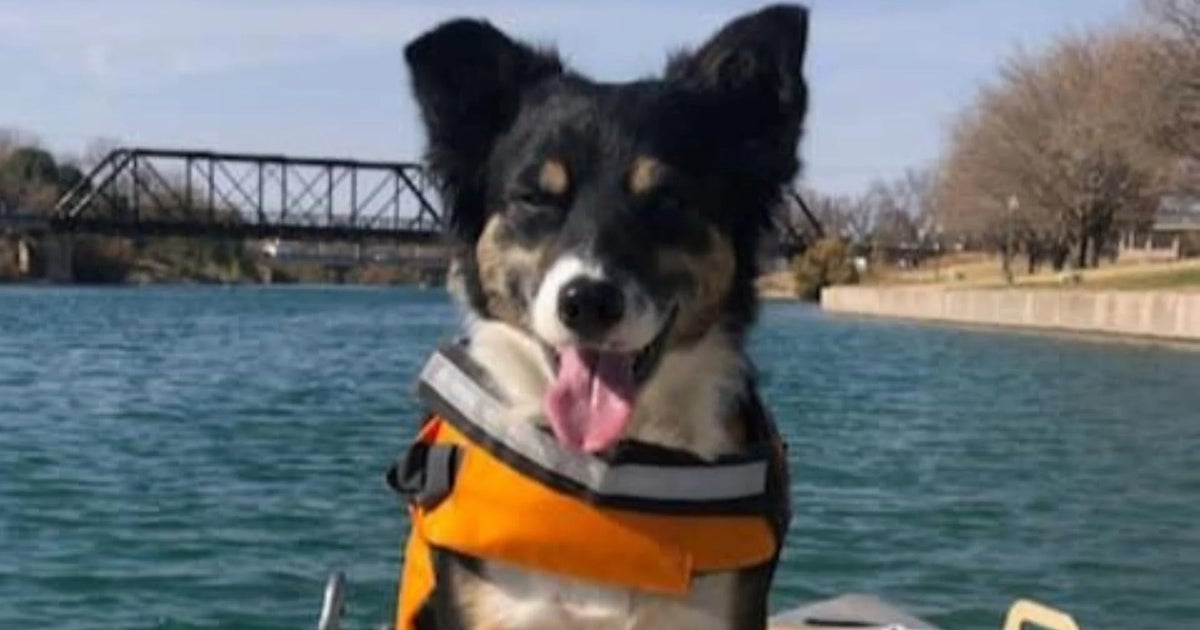 New Mexico dognapping case morphs into a murder plot and exposes an infamous secret