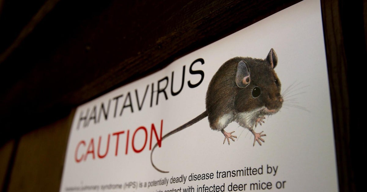 What are the origins of hantavirus? How the virus tied to the cruise ship outbreak came to be.