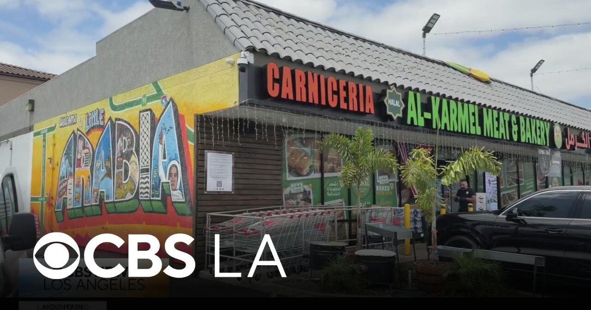 Students talk about their work on the Little Arabia mural in Anaheim