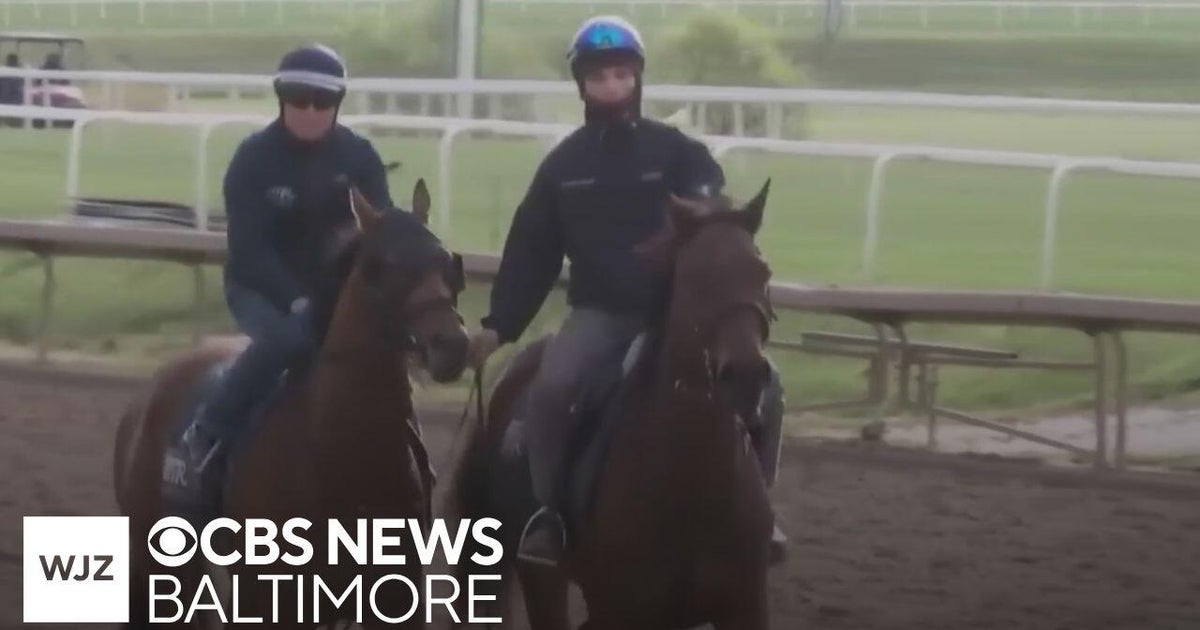 Horse racing expert talks thoroughbred horse racing ahead of the 2026 ...