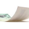 Isolated Treasury Tax Return Check 