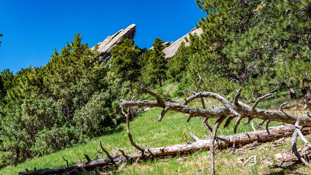 Second Flatiron from Flatirons Trail 