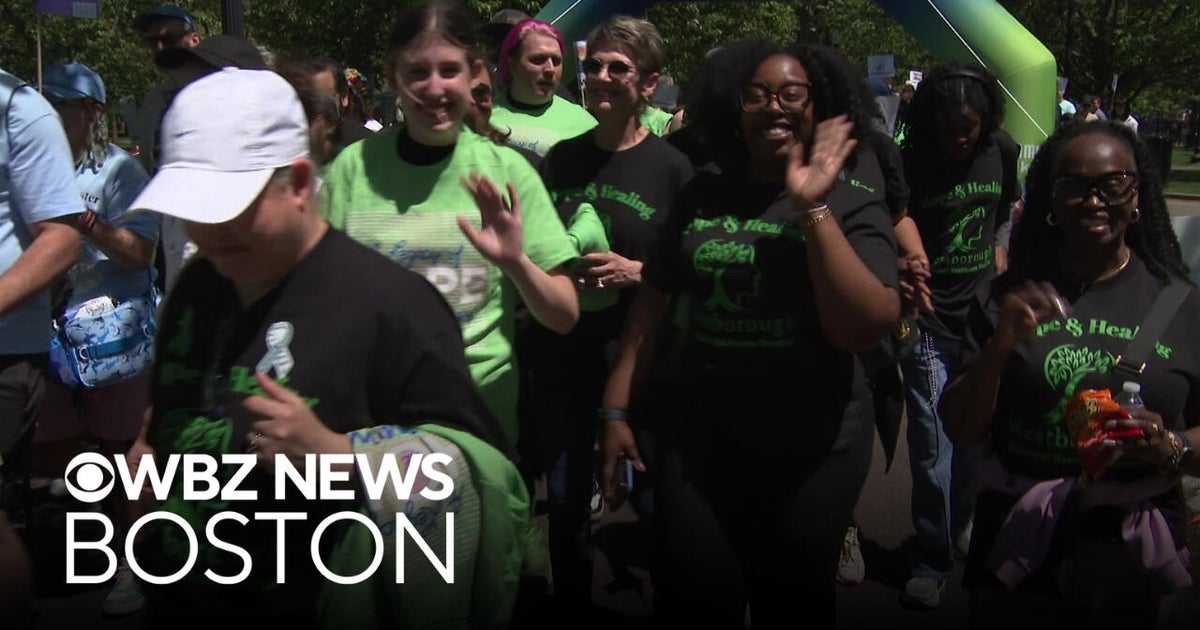 Hundreds gather on Boston Common for mental health walk with NAMI Massachusetts