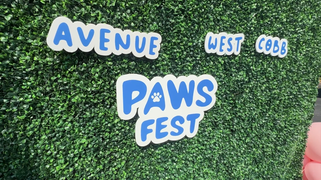 pawfest2.png 