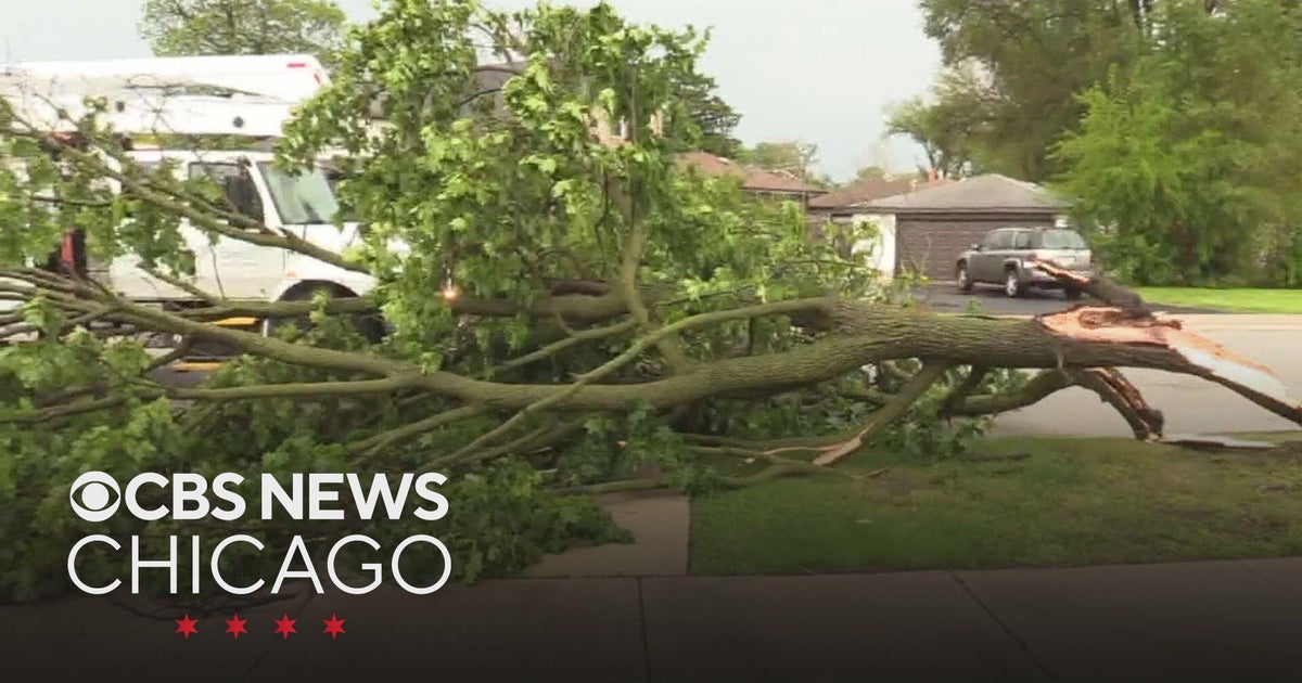 Damage in south suburbs after Monday morning thunderstorms - CBS Chicago