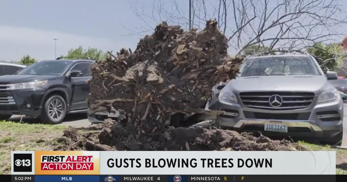 Gusty winds in Northern California bringing trees, large branches down
