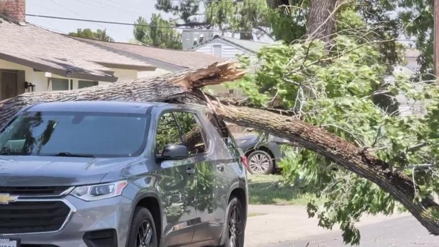 en-high-winds-kayla-10pm-pkg.jpg 
