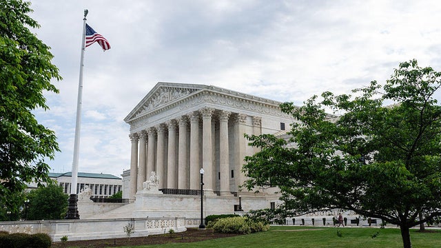 Supreme Court and Cherry Blossoms 