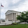 Supreme Court and Cherry Blossoms 