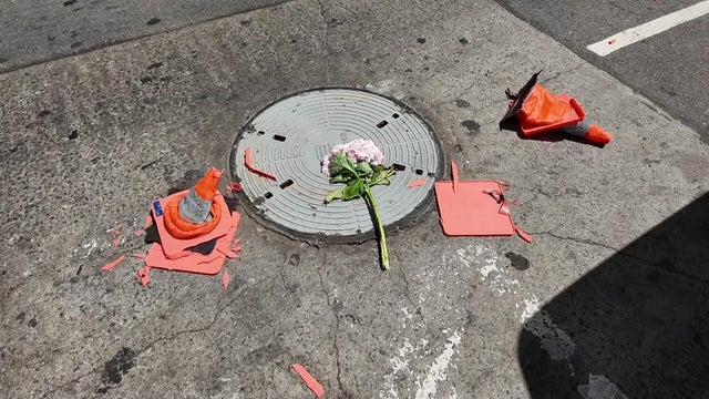 Flower and crushed traffic cones on manhole 