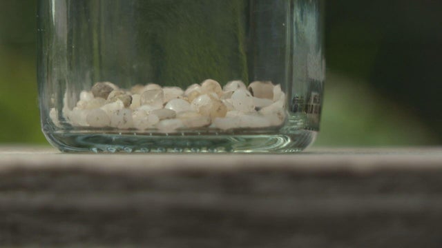 microplastics.jpg 