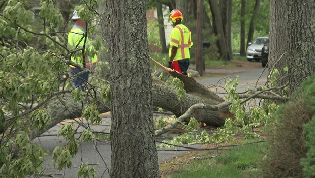 Off-duty Massachusetts firefighter hurt by falling tree limb praised for 