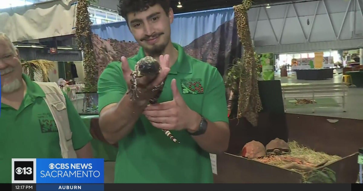 Sacramento County Fair 2026 starts Thursday