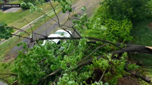 apartment-complex-fallen-tree-pottstown-pennsylvania.jpg