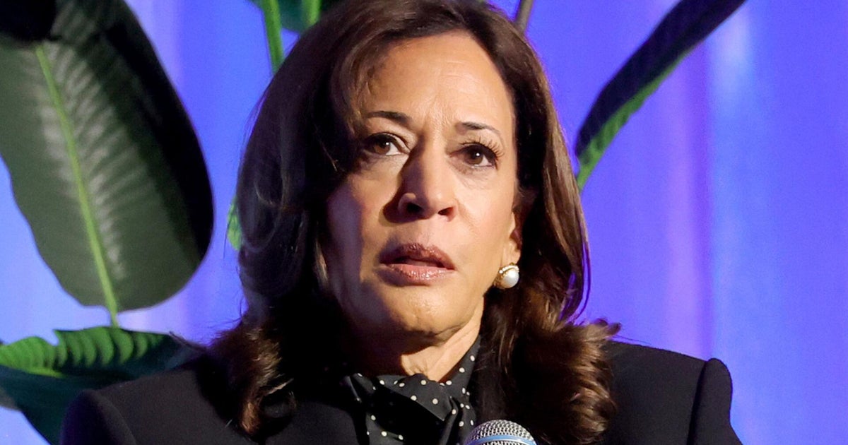 Democratic, Republican strategists react to DNC autopsy report of 2024 election