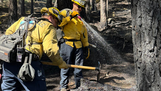 fire-behind-safeway.png 