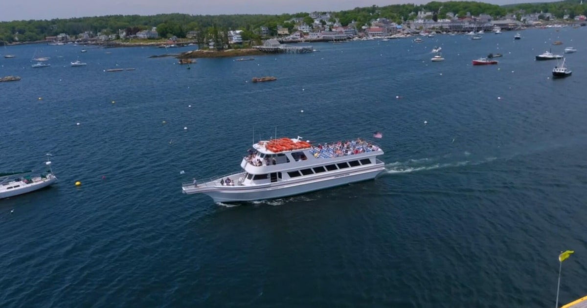 How to see whales and puffins off the coast of Maine
