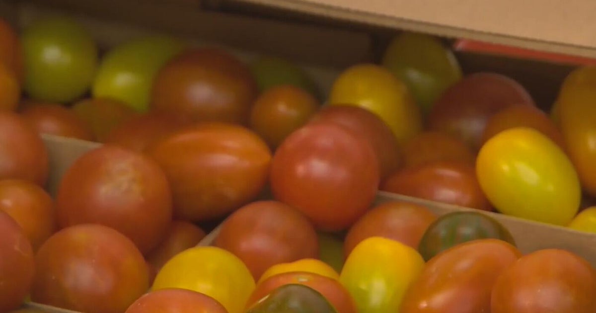 Tomatoes among hardest hit for grocery prices - CBS Detroit