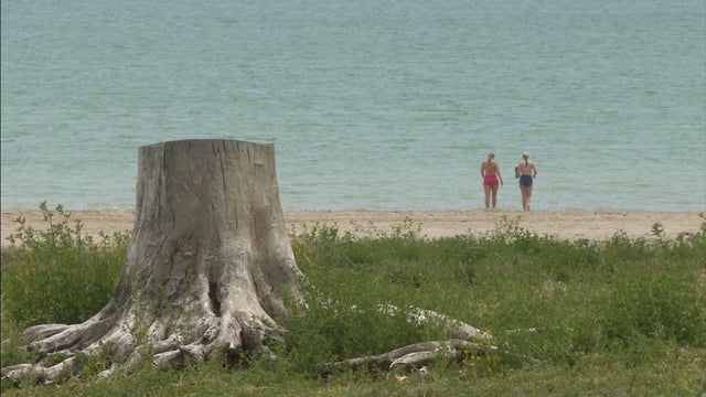 lake.jpg 