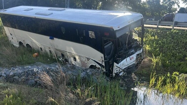 bus1.jpg 